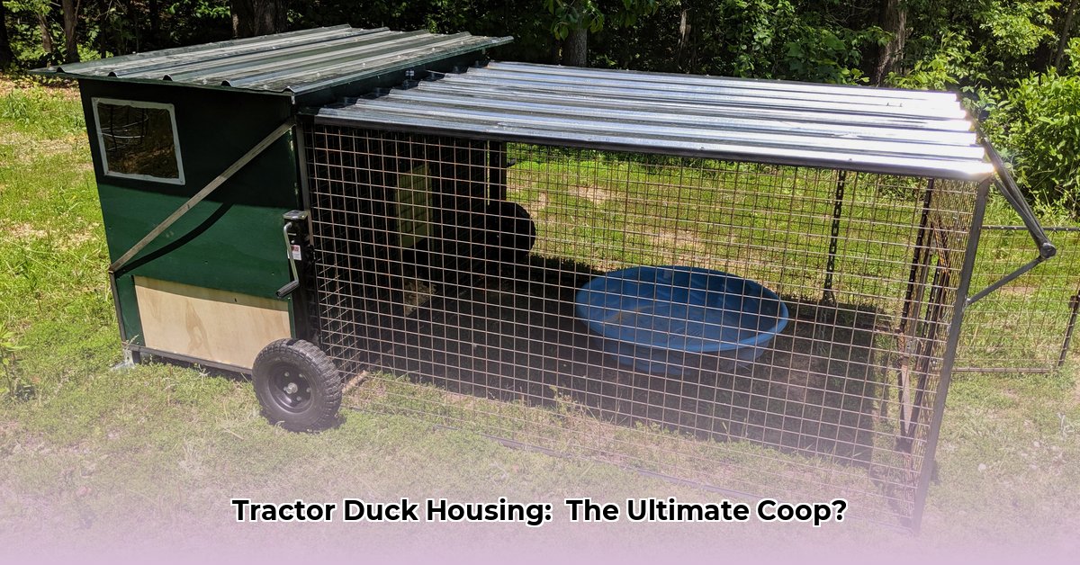 tractor-duck